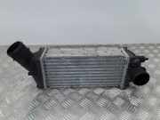 Ladeluftkühler PEUGEOT 307 SW (3H) 2.0 HDi 135 874824K 9646694680