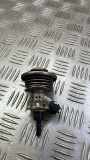 AdBlue Einspritzdüse LAND ROVER RANGE ROVER SPORT (L320) 3.0 D 4x4 FX23189E3AA