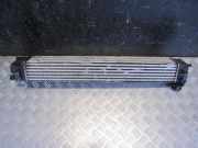 Ladeluftkühler RENAULT SCÉNIC III (JZ0/1_) 1.4 16V (JZ0F, JZ1V) 144960006R
