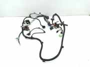 Kabelbaum BMW 5 Gran Turismo (F07) 530 d xDrive 9221699 8509019