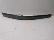 Stoßstangenzierleiste vorne rechts RENAULT LAGUNA II Grandtour (KG0/1_) 1.9 dCi (KG0G) G000009685