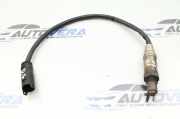 Lambdasonde BMW X5 (E53) 7506539