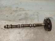Nockenwelle MERCEDES-BENZ M (W164) ML 320 CDI 4-matic (164.122) A6420520001