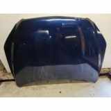 Motorhaube TOYOTA RAV 4 III (_A3_) 2.0 (ZSA35_)