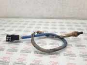 Sauerstoffsensor (Lambdasensor) AUDI A3 (8P1) 1.6 06A906262BR