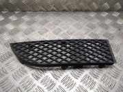 Gitter Grill vorne rechts BMW 7 (E65, E66, E67) 730 Ld 51117135564 7135564