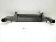 Ladeluftkühler Mercedes-Benz C-Klasse (W202) A2025000900