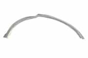 Kotflügelzierleiste hinten links LAND ROVER DISCOVERY SPORT (L550) 2.0 4x4 FK72-290E23-AC