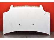 Motorhaube Fiat Doblo Van (263)
