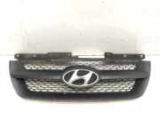 Kühlergrill oben Hyundai Sonata V (NF) 863513K000