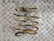 Schraubenfeder hinten links JEEP GRAND CHEROKEE III (WH, WK) 3.0 CRD 4x4