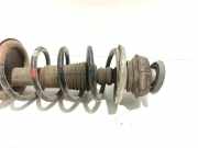 Stoßdämpfersatz Vorderachse Dacia Duster (HS)