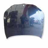 Motorhaube BMW 5 Touring (E61) 535 d 41617111385