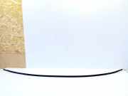 Dachleiste links TOYOTA VERSO (_R2_) 2.0 D-4D (AUR20_)