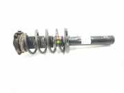 Stoßdämpfer vorne links VW CADDY III Furgon (2KA, 2KH, 2CA, 2CH) 2.0 TDI 16V 317575