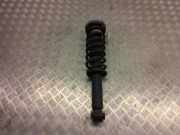 Stoßdämpfer rechts hinten BMW X3 (F25) 6796317