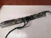 Kennzeichenbeleuchtung Verkleidung RENAULT GRAND SCÉNIC III (JZ0/1_) 1.9 dCi 848100006R