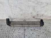 Ladeluftkühler RENAULT GRAND SCÉNIC III (JZ0/1_) 1.5 dCi M135347 144960006R