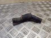 Schlauch Kühlung KIA SPORTAGE V (NQ5) 1.6 T-GDI AWD 256402F000PH