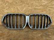Vorderer oberer Gitter BMW X6(G06) (G06, F96) xDrive 30 d KK6T271