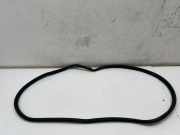 Dichtungsgummi der hinteren Tür (an der Karosserie) TOYOTA C-HR (_X2_, _H2_) PHEV