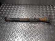 Stoßdämpfer links hinten Audi A6 Avant (4F, C6)