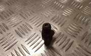 Einspritzdüse NISSAN ALMERA TINO (V10) 1.8 0280155940