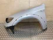 Kotflügel links vorne BMW X6 (E71, E72)
