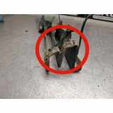 Gitter vorne unten MERCEDES-BENZ C (W202) C 240 (202.026) 2028800605