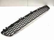 Gitter vorne unten BMW 5 (G30) 530 d 01049091