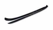 Zierleiste Windschutzscheibe Frontscheibe BMW 3 Touring (E91) 330 d xDrive