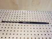 Heckklappendämpfer links BMW X5 (E53) 51248402405