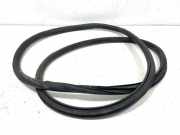 Türgummi links vorne Opel Insignia A (G09)