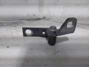 Türscharnier hinten links Ford C-Max II (DXA)