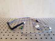Kabel Tür Citroen C4 II Grand Picasso () P108F301