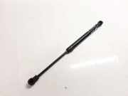 Heckklappendämpfer links Chevrolet Captiva (C100, C140) 82553891300
