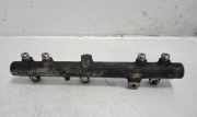 Einspritzleiste Peugeot Boxer Bus (230P) 0445224009