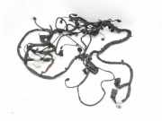 Kabel Motor Mercedes-Benz R-Klasse (W251)