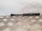 Heckklappe Gasdruckfeder rechts SEAT TOLEDO II (1M2) 1.9 TDI 1M5827550B