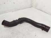 Schlauch Kühlung VW TIGUAN (5N_) 2.0 TDI 4motion