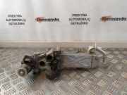 Abgaskühler VW Passat B7 Alltrack (36, B7) 03L131512BL
