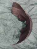 Innenkotflügel hinten links BMW 3 (E90) 320 d 51717143852