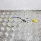 Temperatursensor RENAULT LAGUNA III (BT0/1) 2.0 dCi (BT01, BT09, BT12, BT1S) 8200882195