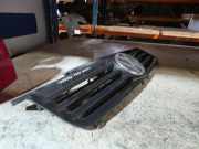 Vorderer oberer Gitter VW POLO (AW1, BZ1, AE1) 1.6 TDI