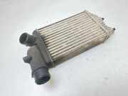 Ladeluftkühler Peugeot Boxer Kasten (244)