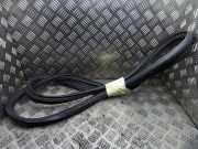 Vordere linke Türdichtungsgummi VW CADDY III Furgon (2KA, 2KH, 2CA, 2CH) 1.6 TDI 2k0837911j