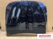 Motorhaube BMW 5er (F10) 41617207194