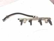 Einspritzleiste Audi A4 (8E, B7) 06B133317N