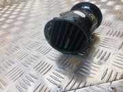 Ziergitter VW Caddy III Kasten (2KA)