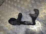 Riemenspanner VW PASSAT B5 (3B3) 1.9 TDI 2370909
